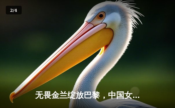 无畏金兰绽放巴黎，中国女篮绝杀澳大利亚迎奥运开门红 - 2